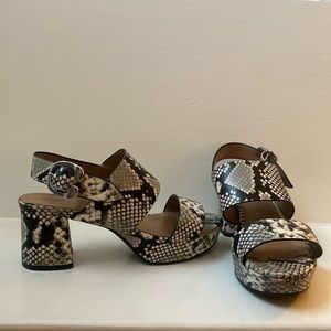 AEROSOLES Camera Snakeskin Sandals Heels
